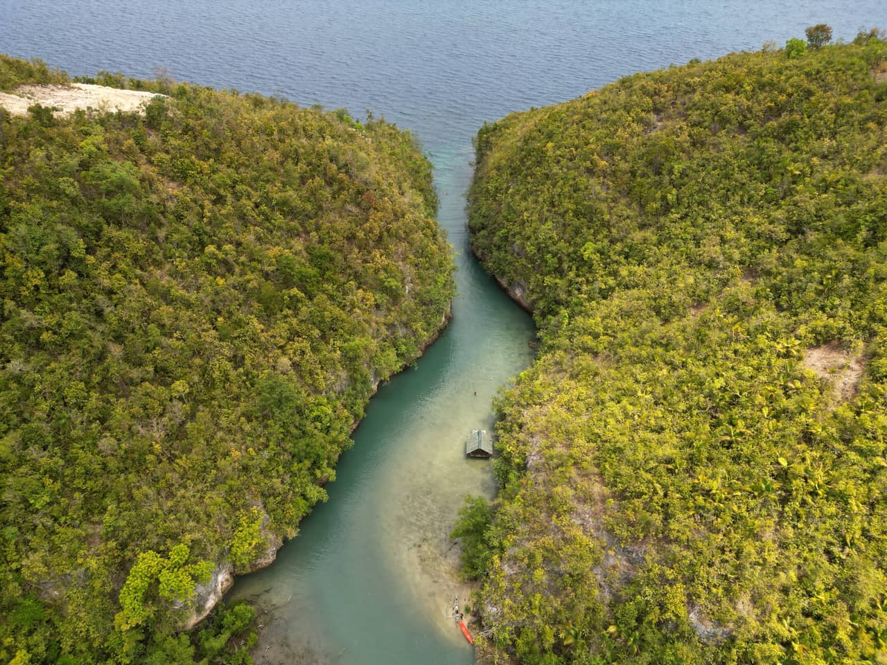 Aerial view of the Bojo River winding between forested banks to the sea