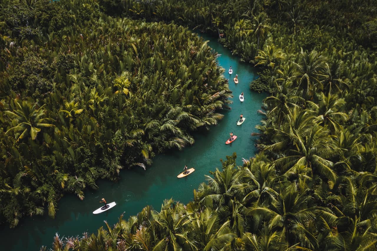 Stand-up paddlers drifting down the palm-lined Loboc River, Bohol